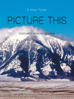 cover image of Picture This
